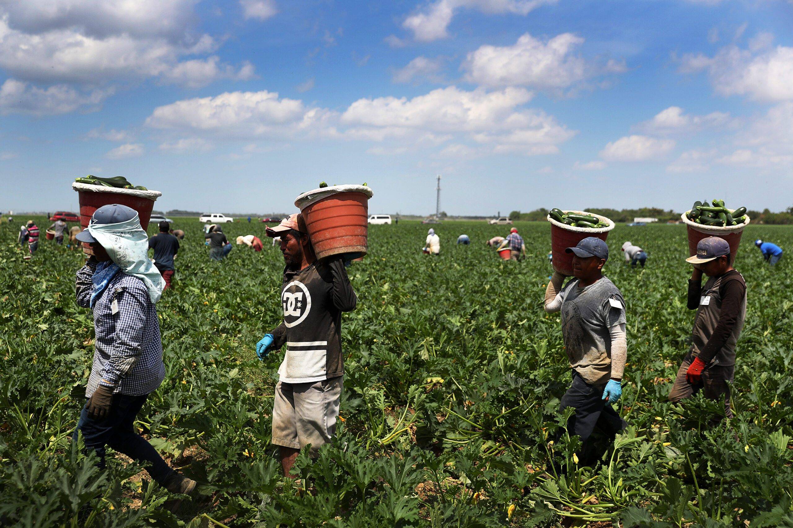 Farm Jobs in Poland