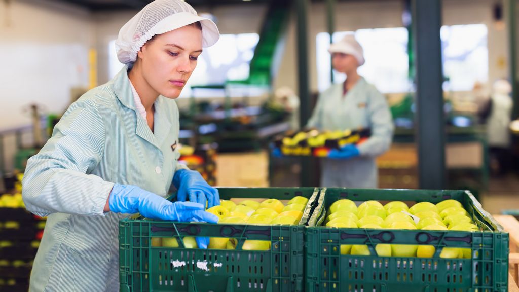 Food Packing Jobs in Italy